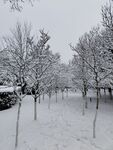 雪景