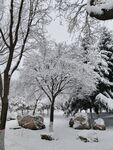 雪景