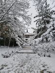 雪景