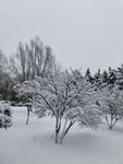 雪景