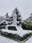 雪景