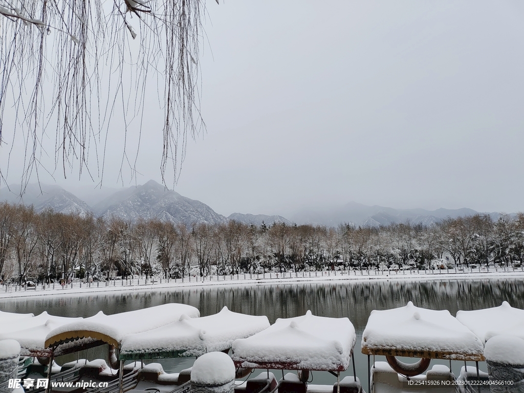 雪景