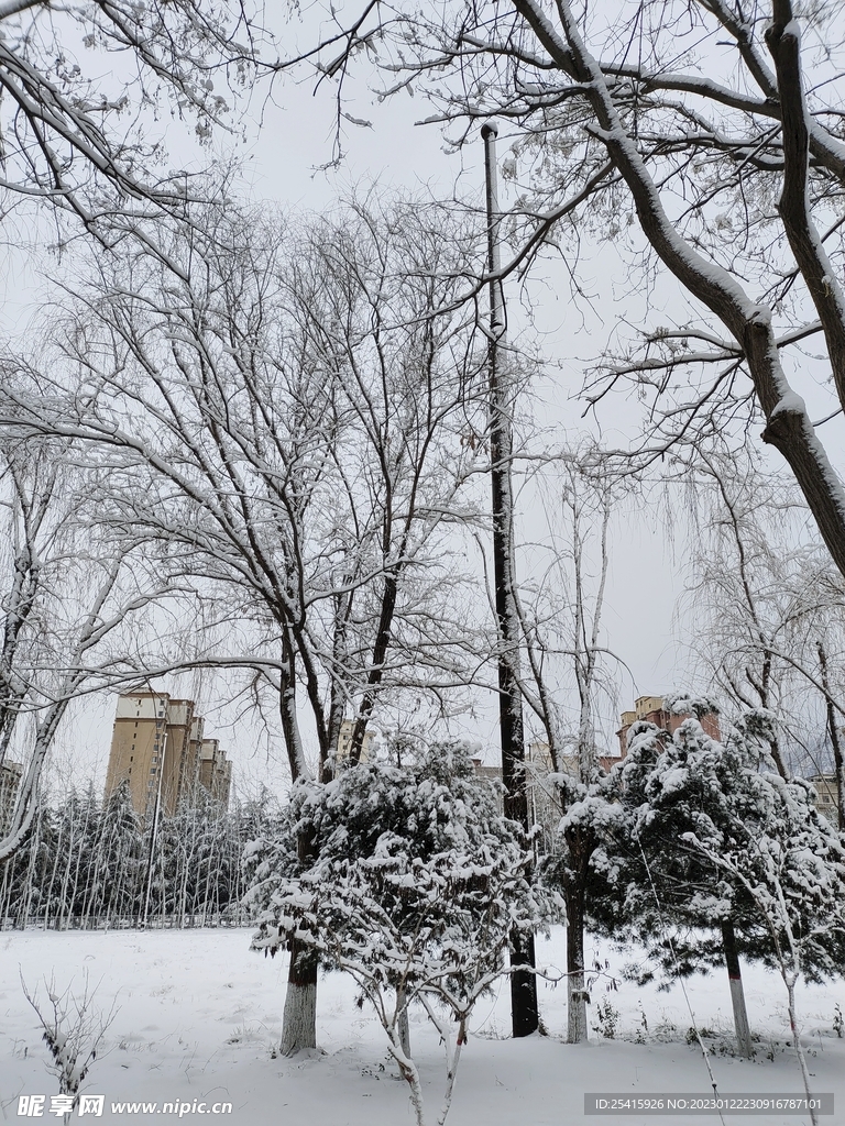 雪景
