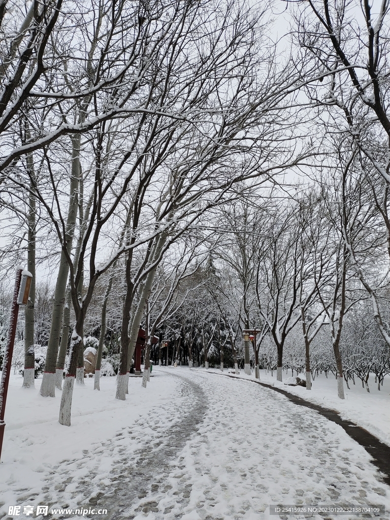雪景