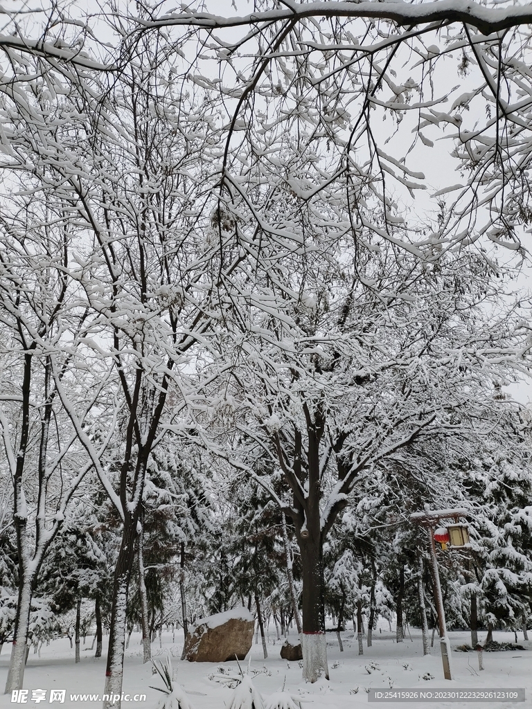 雪景