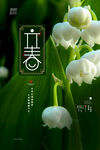 立春节气