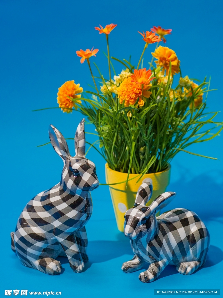 格子兔和小雏菊