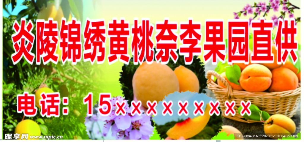 桃园 果园采摘
