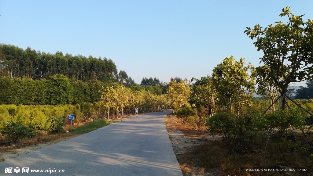乡路