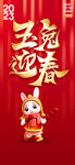 玉兔迎春