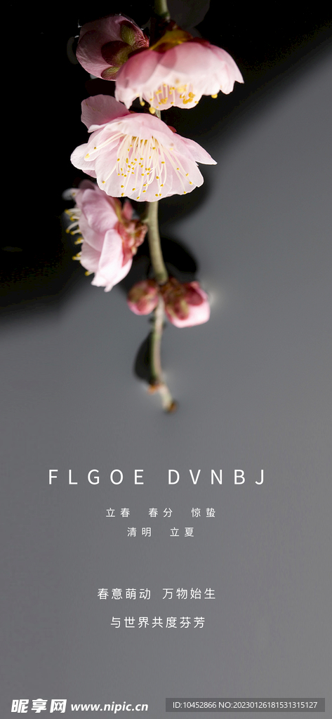 立春