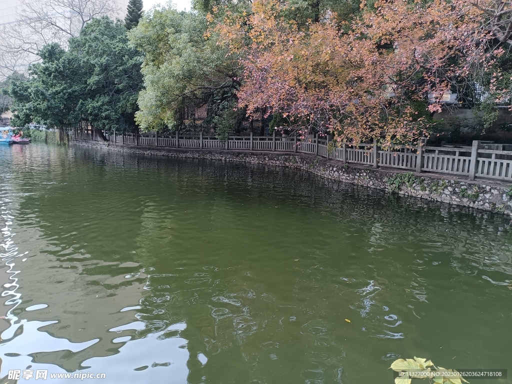 湖