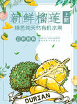 新鲜榴莲海报