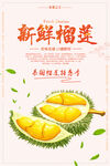 新鲜榴莲宣传海报