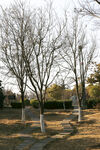 公园步道