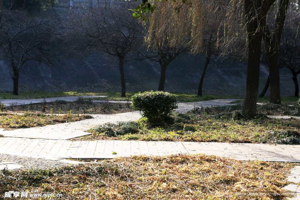 园林步道