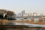 河边建筑风光