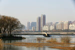 河岸建筑