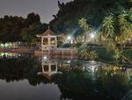 公园夜景