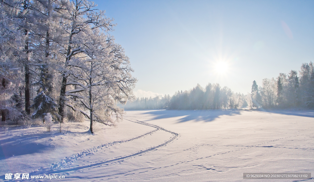 雪