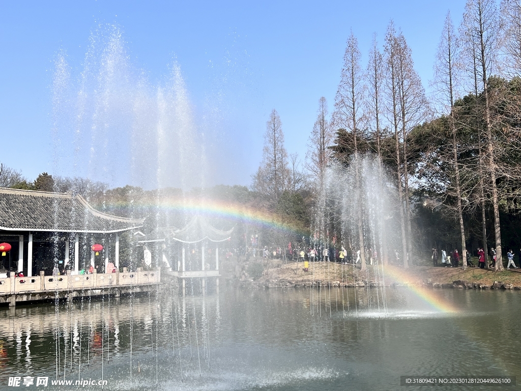 梅园池边风景