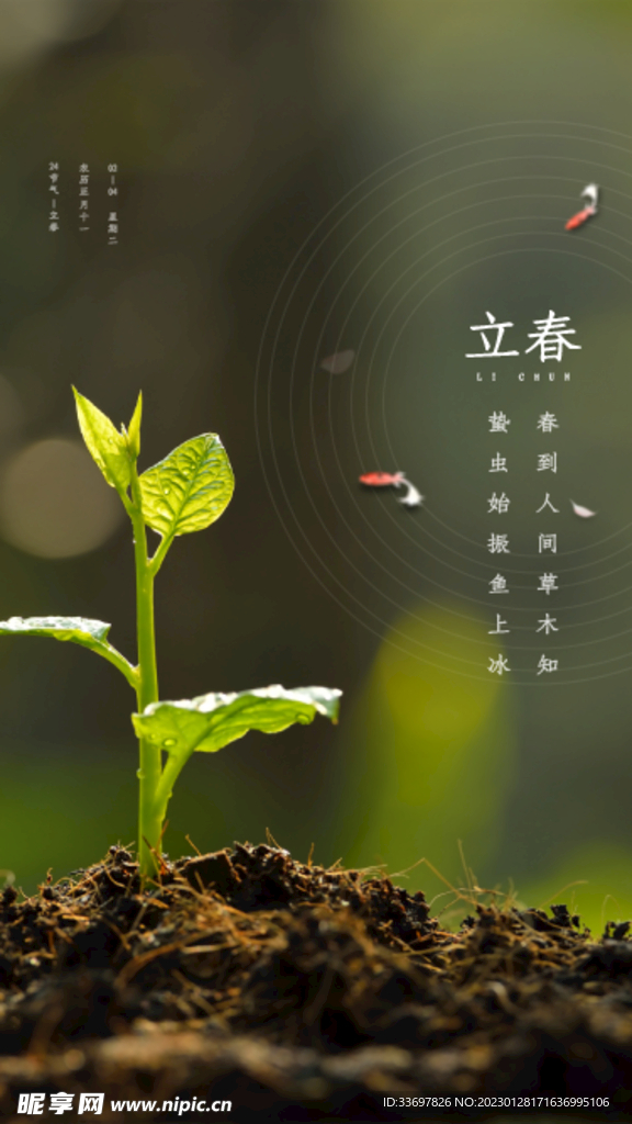 立春