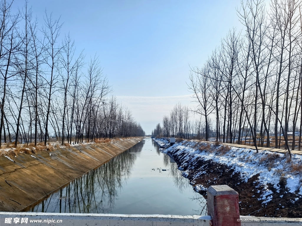 乡村小河雪景树枝