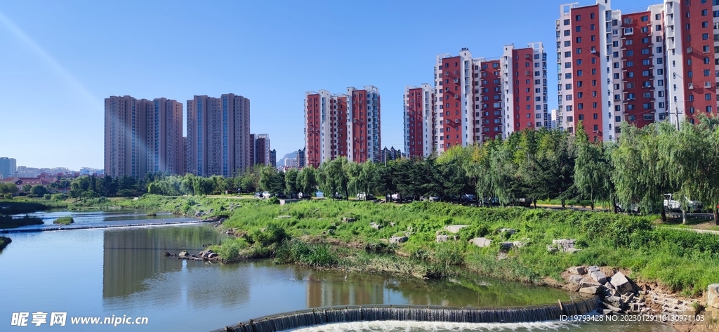 张村河 城市 公园 湿地