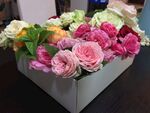 各色月季花盒