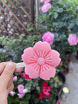 樱花冰淇淋