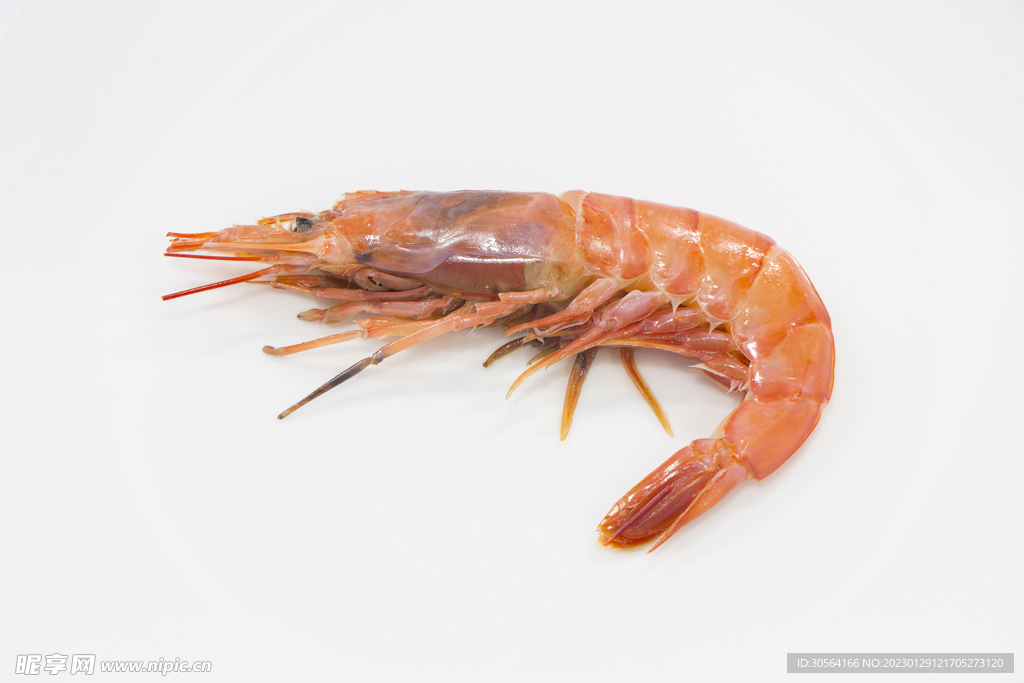 大虾美食
