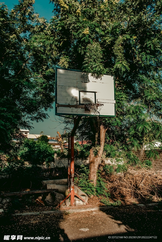 篮筐