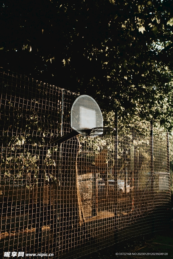 篮筐