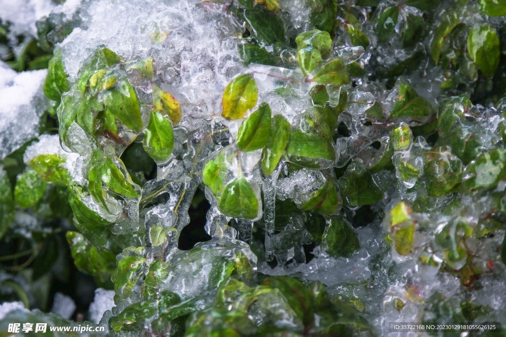 水晶