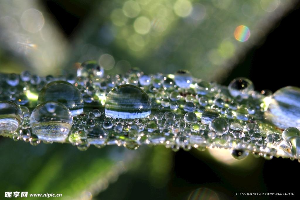 水滴水珠