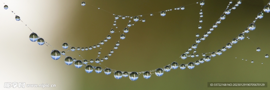 水滴水珠