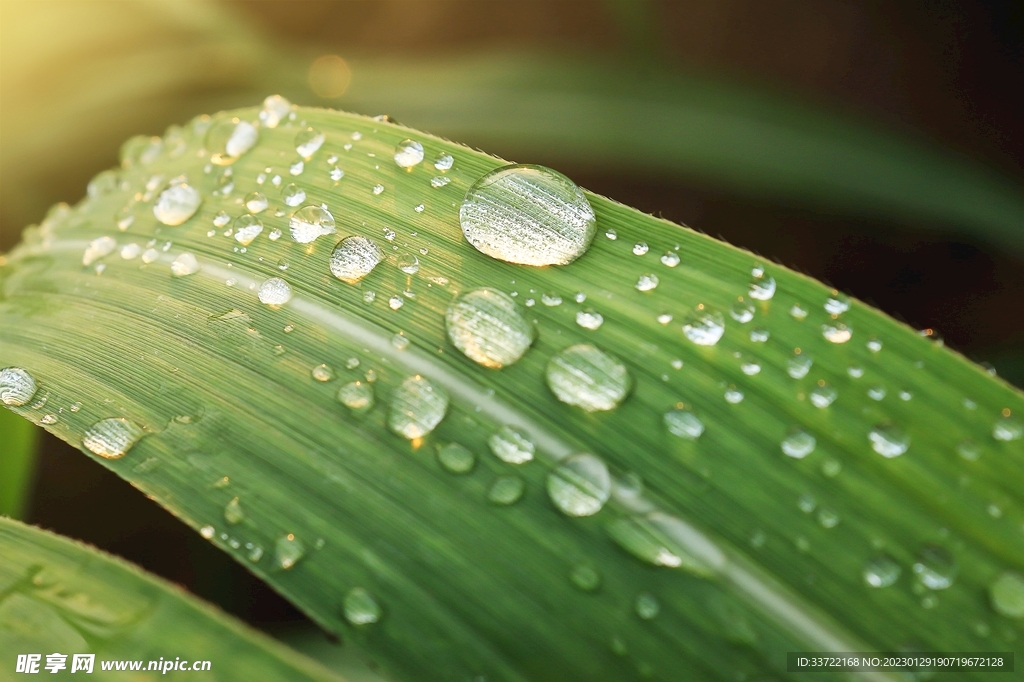 水滴水珠