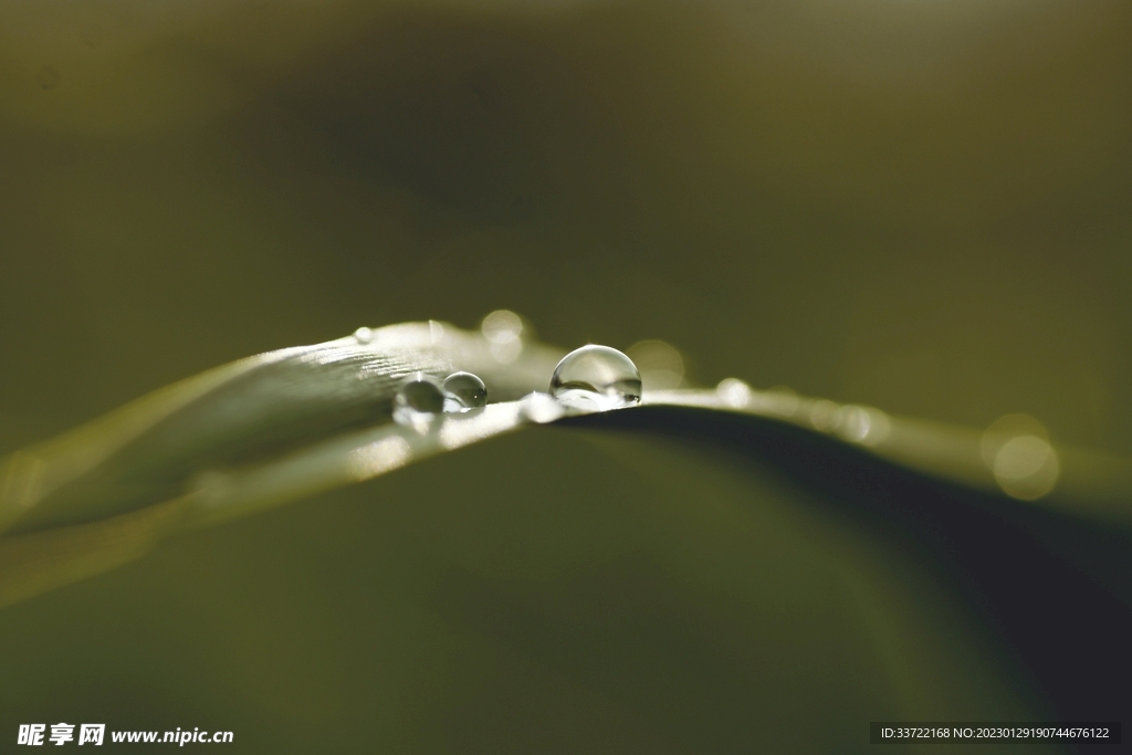 水滴水珠