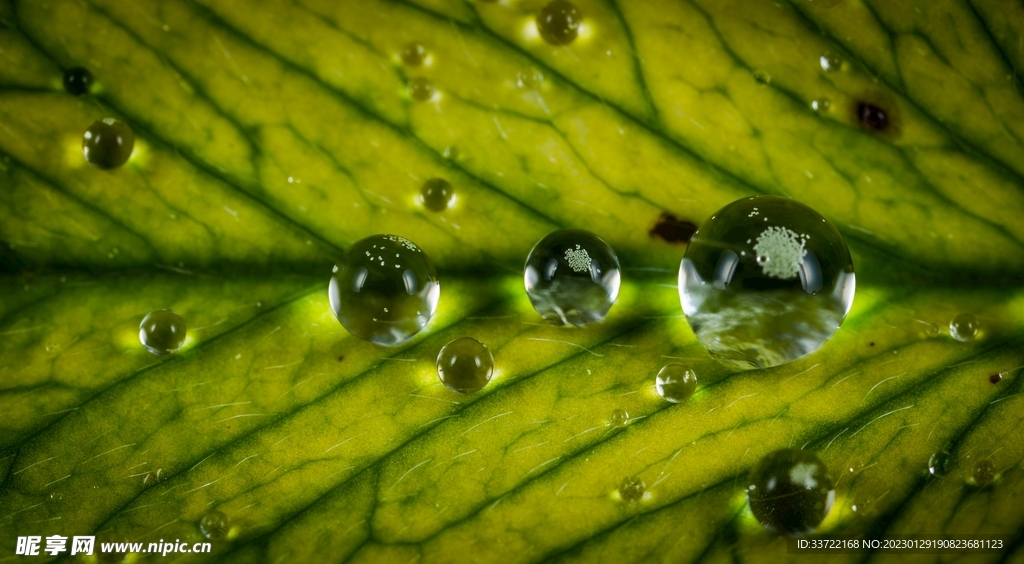 水滴水珠