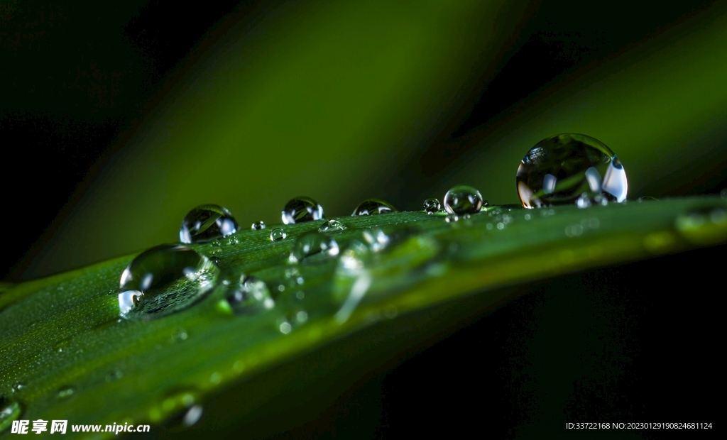 水滴水珠