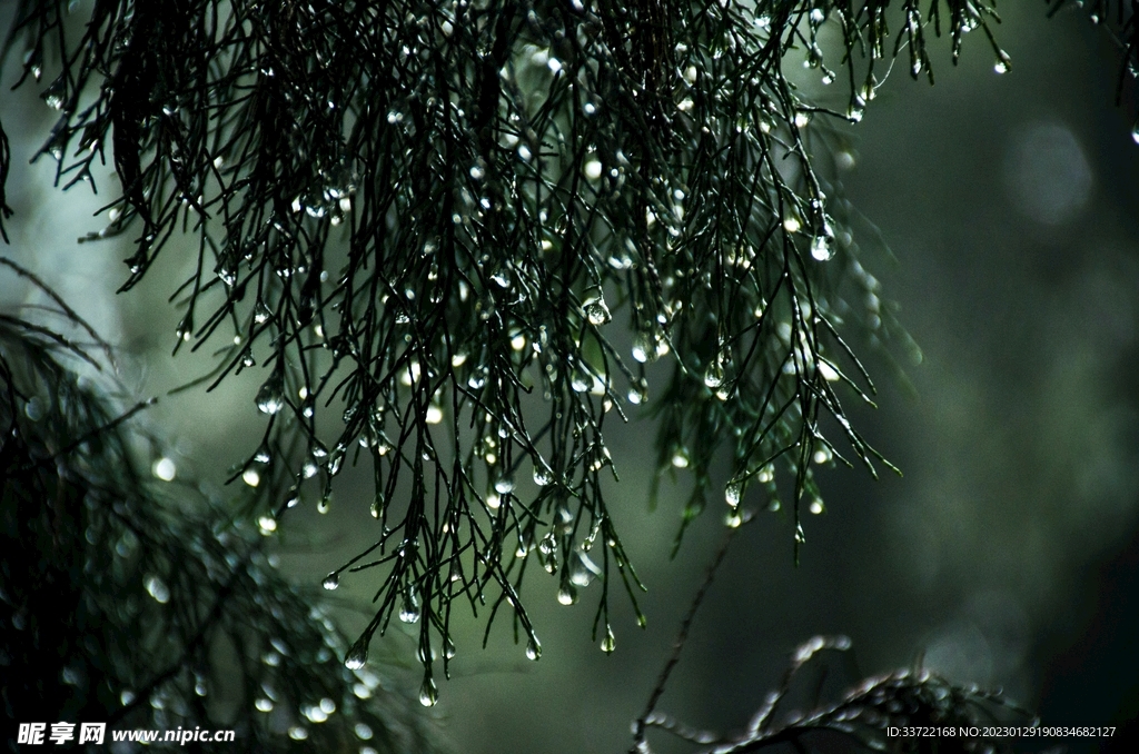 水滴水珠