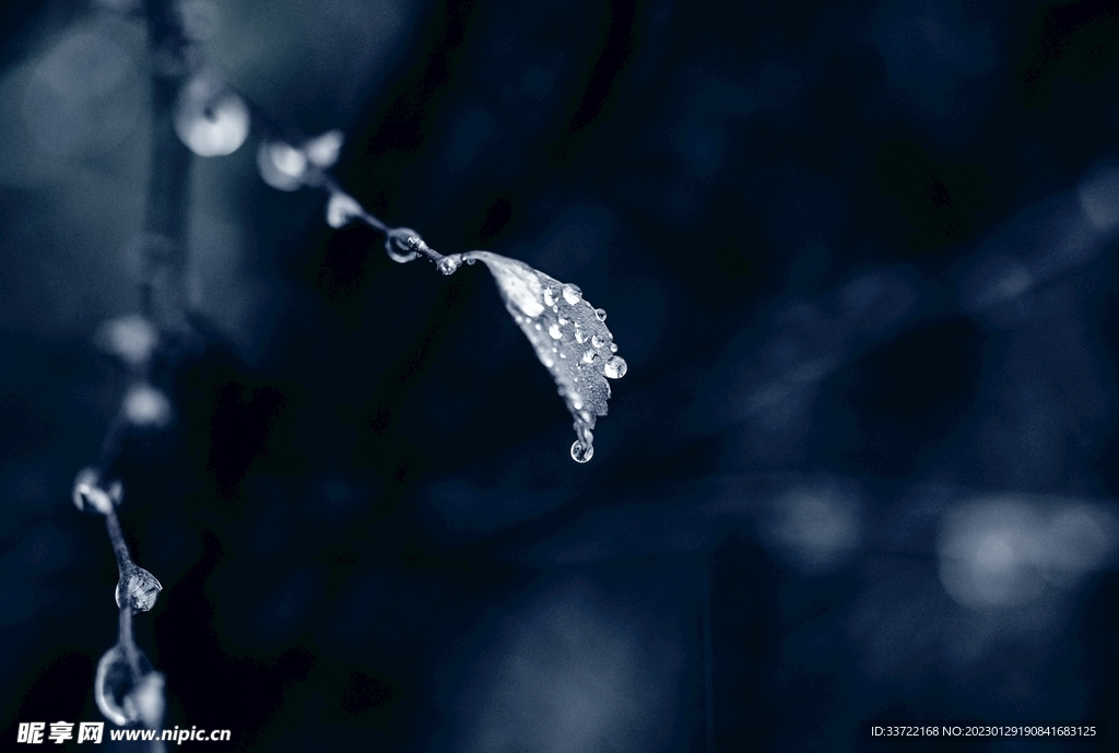 水滴水珠