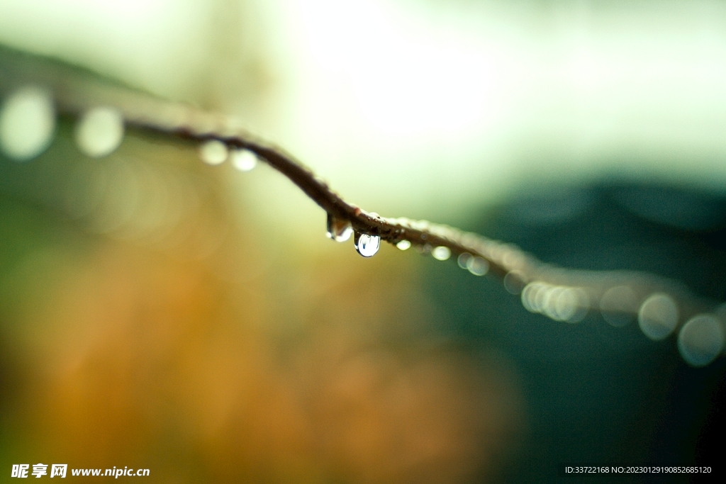 水滴水珠