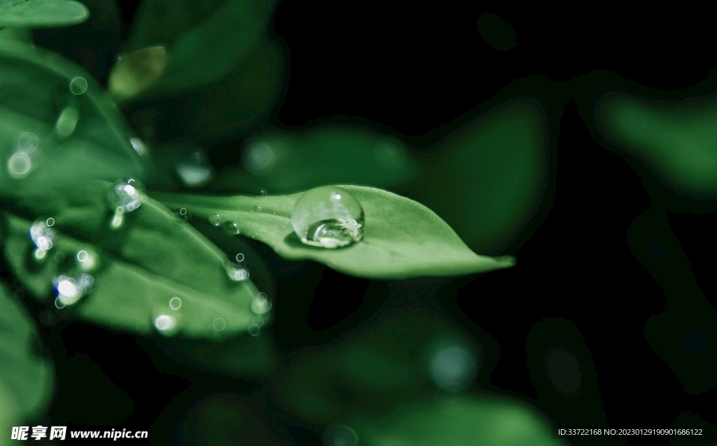 水滴水珠