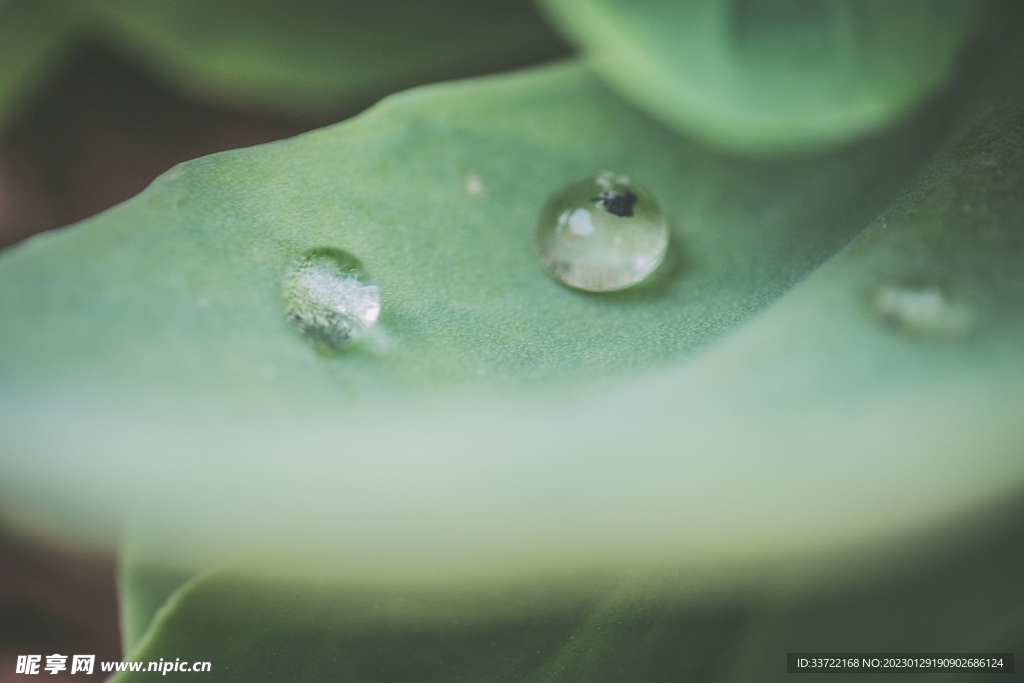 水滴水珠