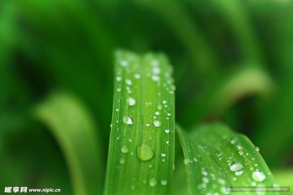 水滴水珠