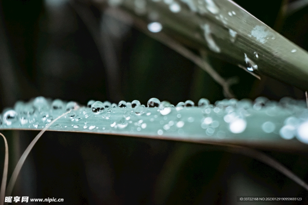 水滴水珠