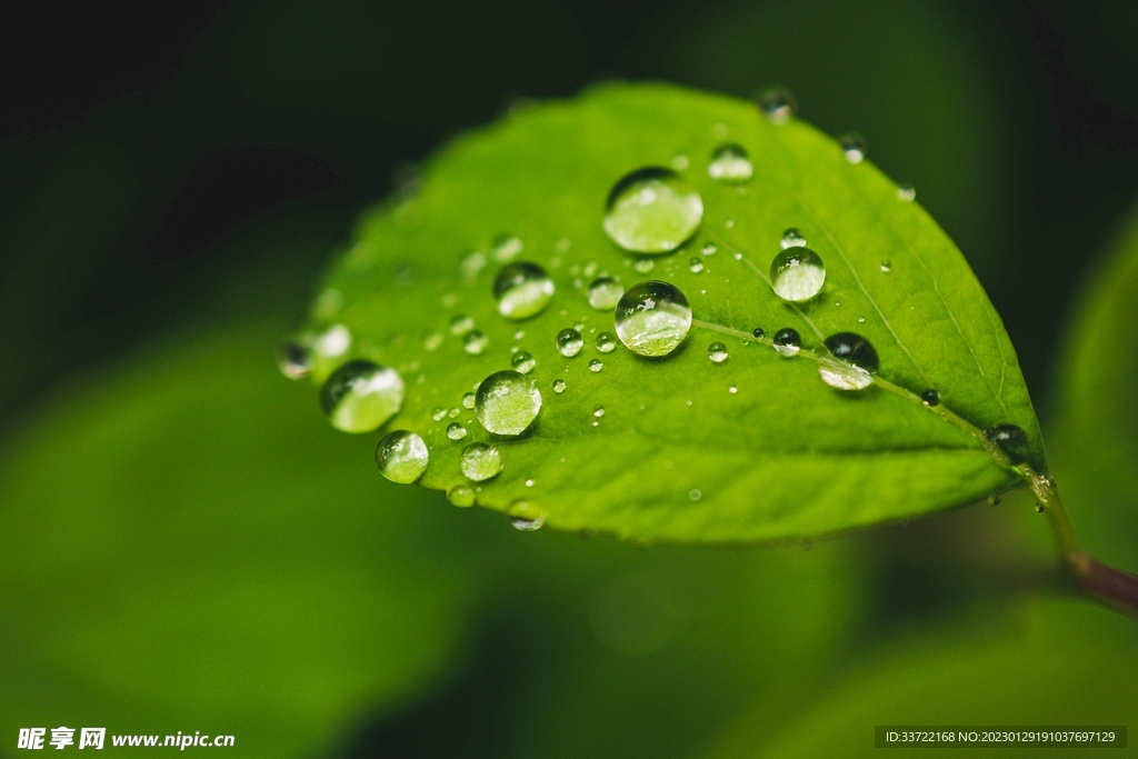 水滴水珠