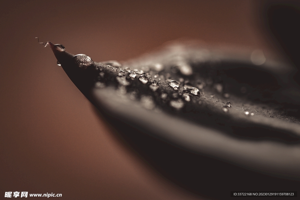 水滴水珠