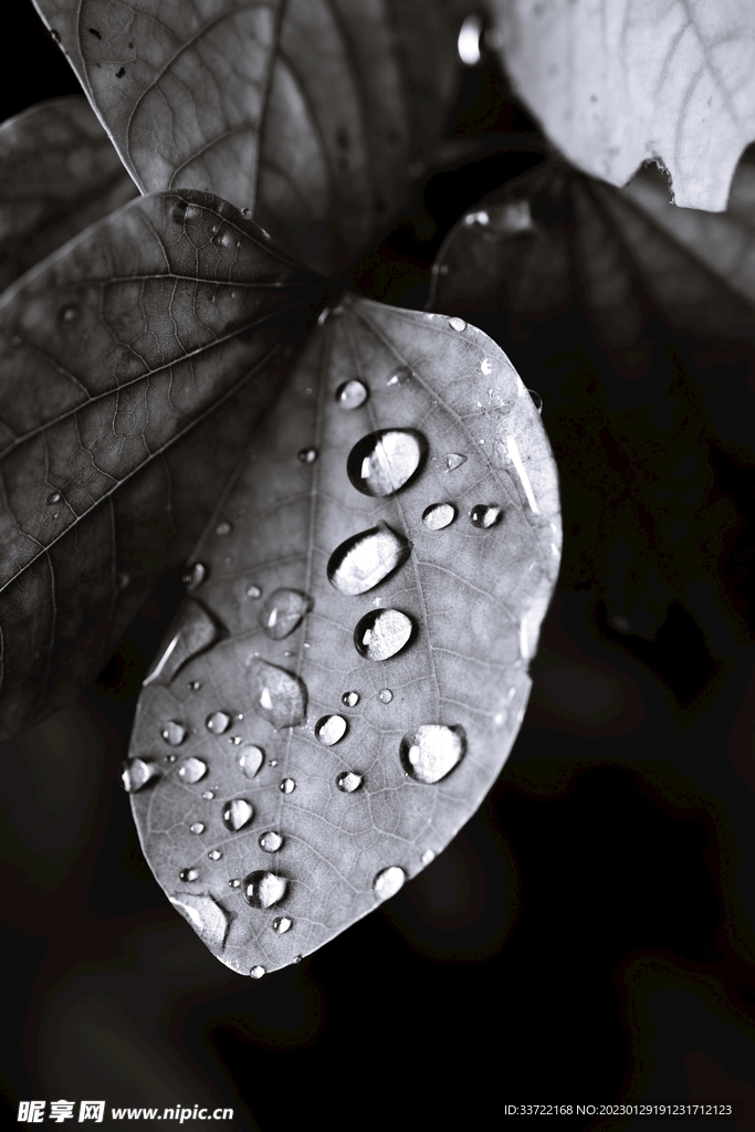 水滴水珠